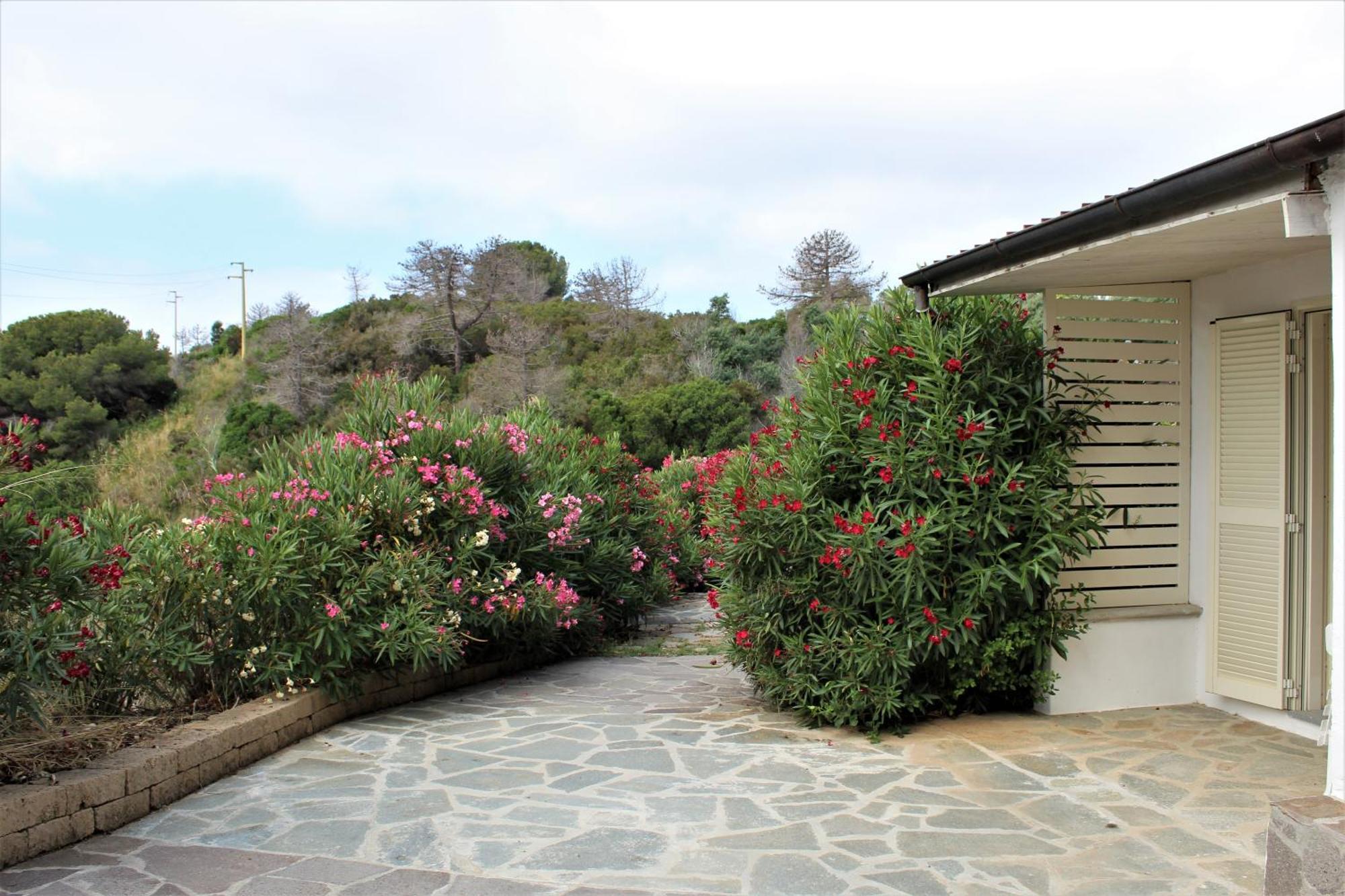 Residence Les Oliviers Porto Azzurro Exterior photo