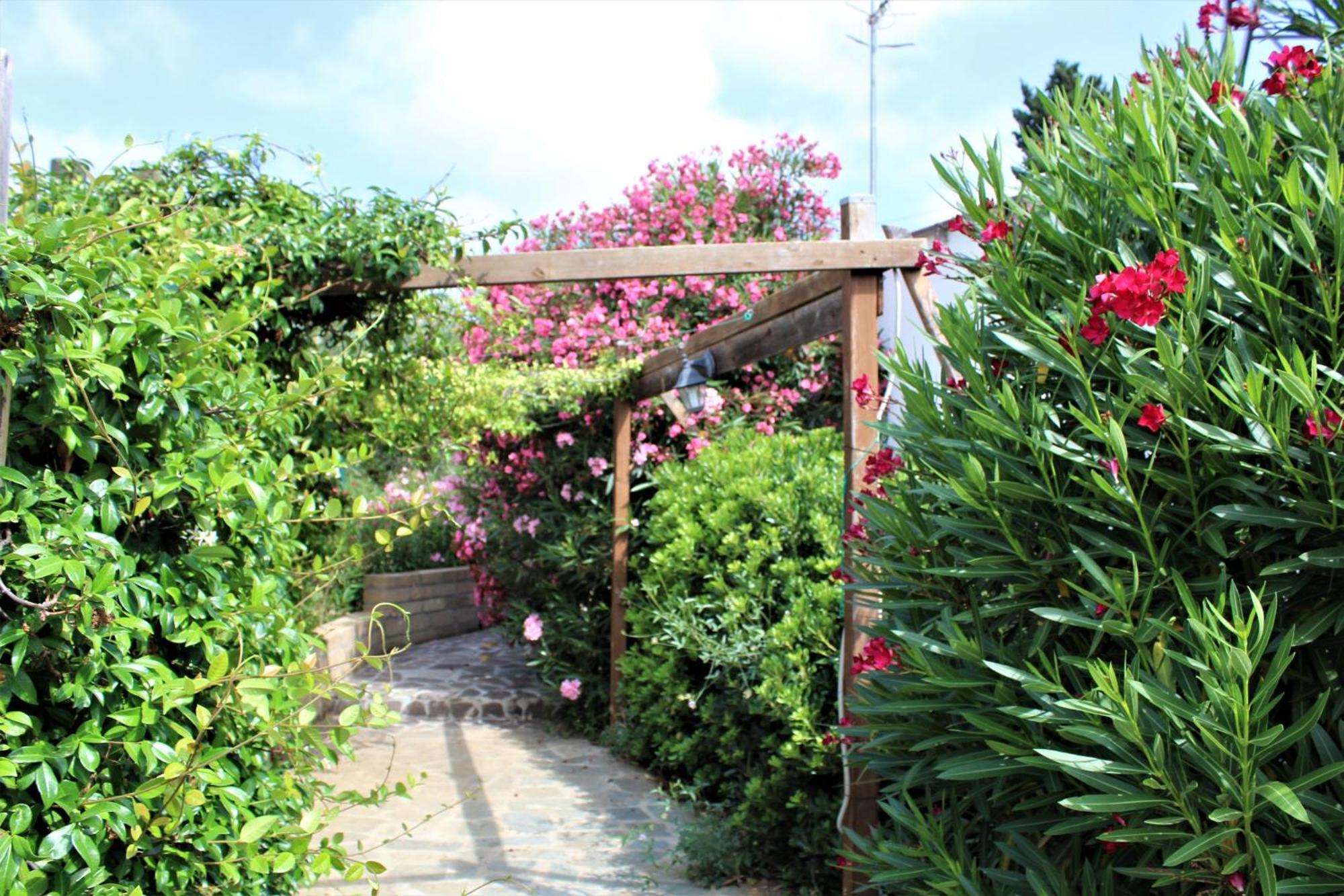 Residence Les Oliviers Porto Azzurro Exterior photo