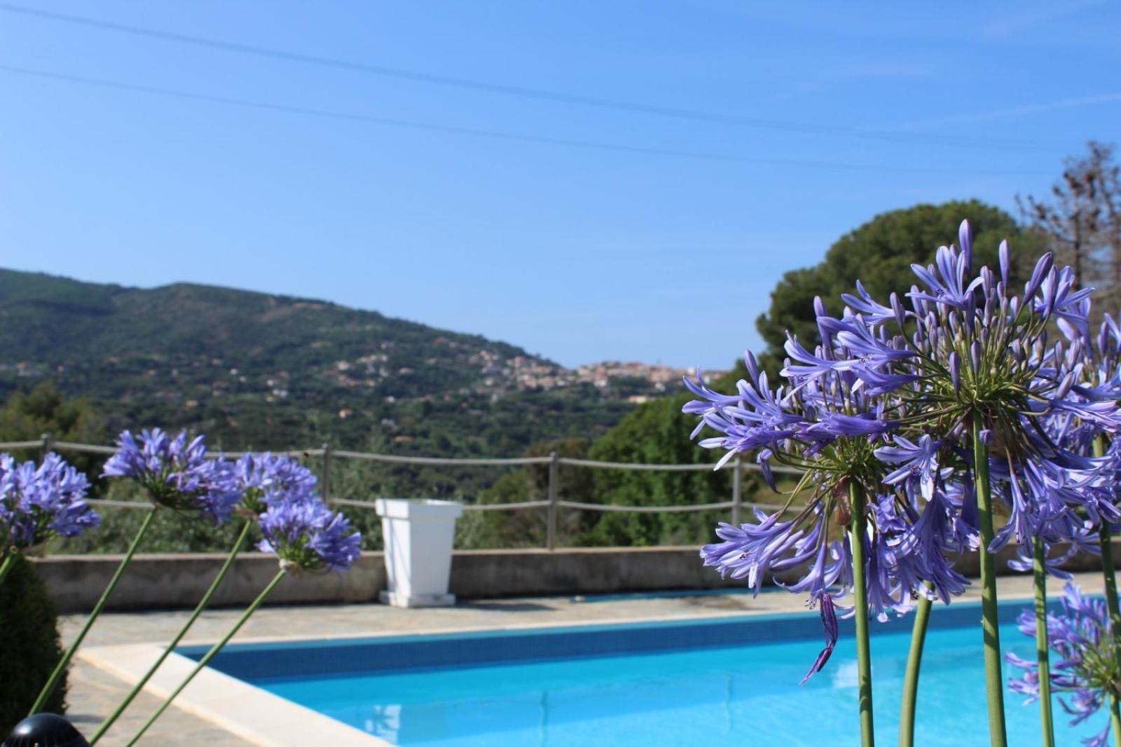 Residence Les Oliviers Porto Azzurro Exterior photo